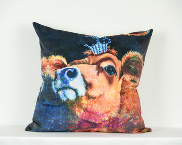 Large Velvet Cushion Sample 27