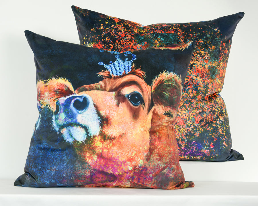 Large Velvet Cushion Sample 27