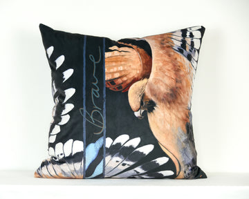 Large Velvet Cushion Sample 29