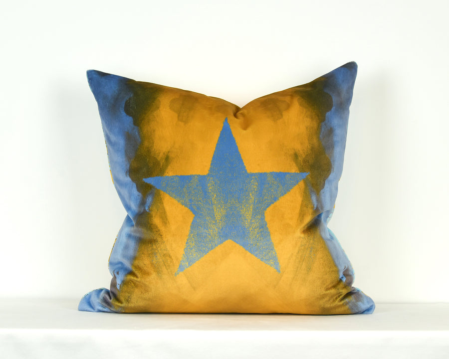 Medium Velvet Cushion Sample 7