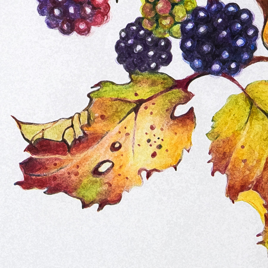 Autumn Treasures II by Kathy Rondel